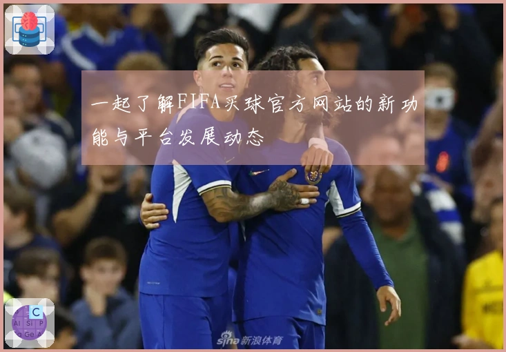 一起了解FIFA买球官方网站的新功能与平台发展动态