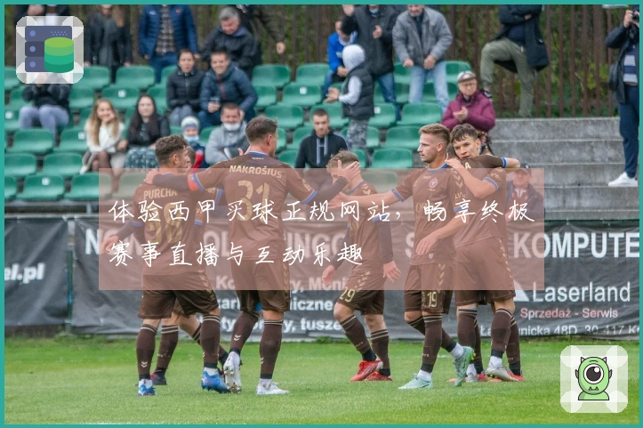 体验西甲买球正规网站，畅享终极赛事直播与互动乐趣