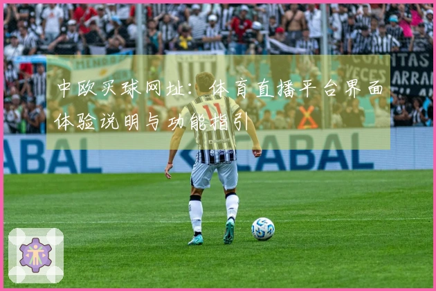中欧买球网址：体育直播平台界面体验说明与功能指引