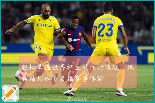 轻松掌握世界杯主站注册流程，玩转精彩体育直播赛事体验